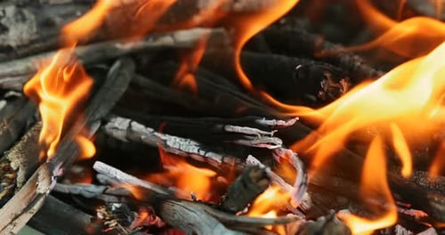 Burning Wood with Bright Orange Flames and Logs in Closeup View
