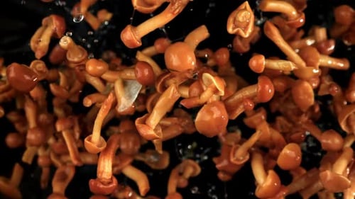 Dynamic Shot of Mushrooms Flying on a Black Background