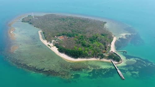Luftaufnahme der tropischen Insel mit Bäumen inmitten des ruhigen blauen Meeres