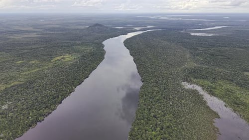 Luftaufnahme von Fluss und Wald, Kolumbien.