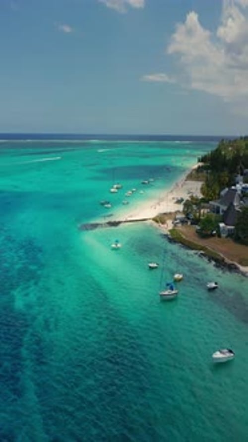 Close Up Fly Over Palm Trees and Beautiful Beach Lagoon Paradise Island in Mauritius Landscape View