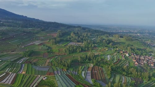 Aerial scenery of green plantation on mountain slope.