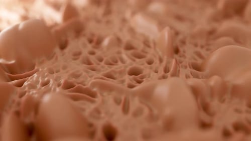 Cancer Tissue and Cancer Cell