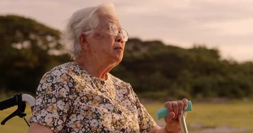 Elderly woman in wheelchair enjoys sunset with family in the park