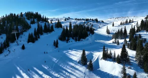 A ski resort in a mountain range dotted with pine forests on a clear sunny day