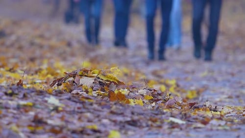 People Walking Through Fallen Colorful Autumn Leaves