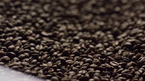 Roasted Coffee Beans Filling the Frame