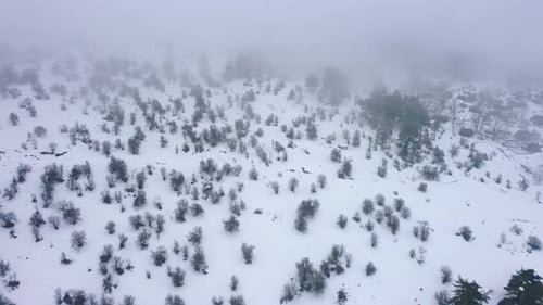 Vista aérea de invierno - 4K