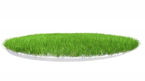 Round Grass Lawn Summer Golf Soccer