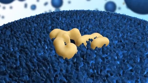 Protein Interacting with Cell Membrane 3D Animation