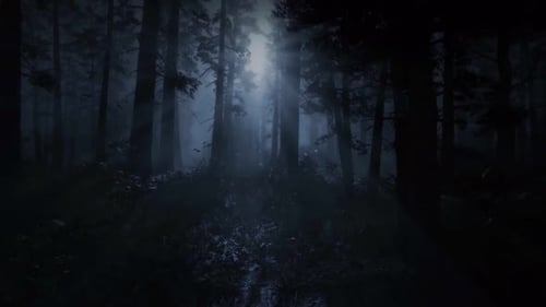 Scary Scene in the Forest, Dark Night, Horror in the Fog, Mystical Trees, Moonlight
