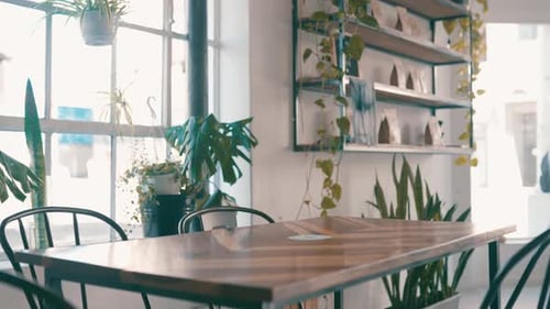 Empty, cafe and interior of business with furniture and plants for service