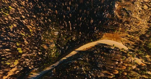 Car rides by the road going through the rocky territory overgrown with pine trees.