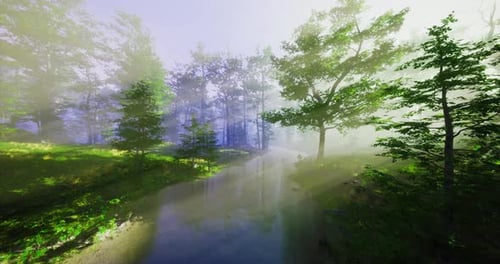 Ethereal Morning Light Filtering Through Trees By a Peaceful Stream