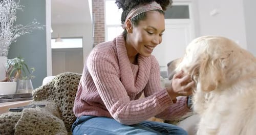 Woman Pets Golden Retriever Dog on Couch