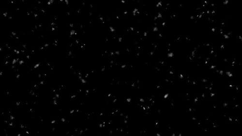 Falling White Snowflakes on Black Background