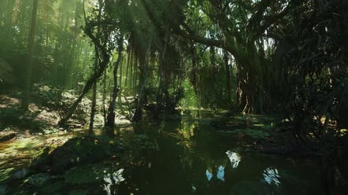 Lush Tropical Jungle Swamp with Sun Rays