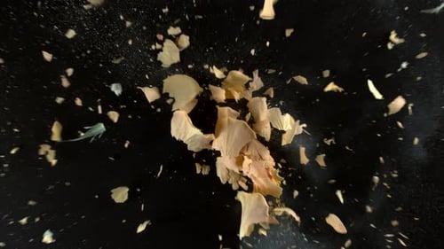 Flor de rosa amarela explodindo em Super, com Phantom Flex