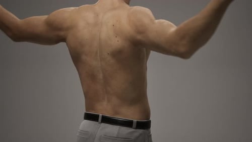 3D Animation of Muscular Male Back Flexing