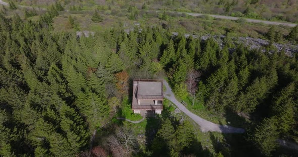Drone View of Forest with Lookout Tower, Nature Stock Footage ft ...