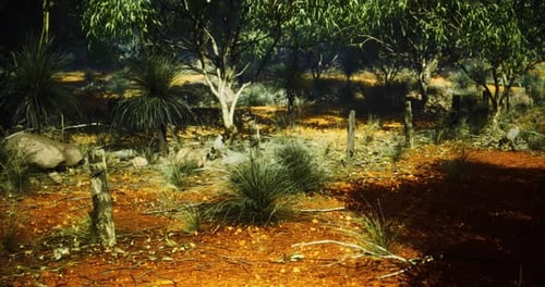 Realistic Arid Landscape Nature Scene Panning Animation