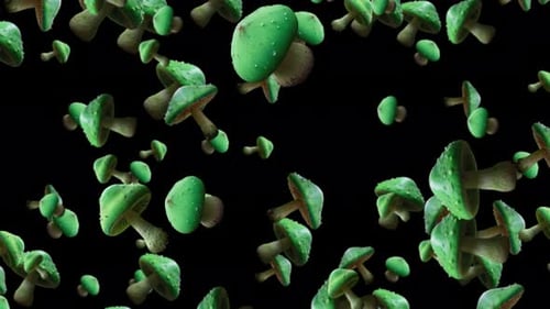 Green Mushroom Falling Animation On Black Background. Slow Motion Of Mushroom Falling Animation Back