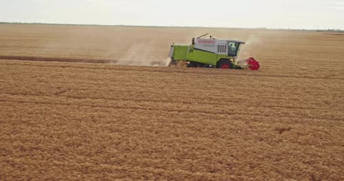 Aerial shot of a combine harvester in action on wheat field.