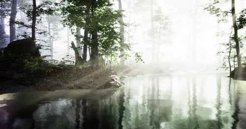 Misty Morning Light Dances Over a Tranquil Forest River in Early Spring
