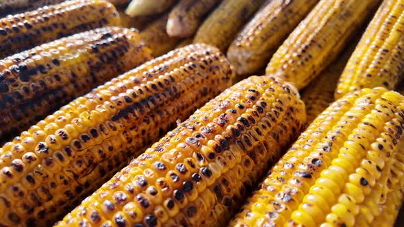 Grilled Corn on the Cob Served at Summer Street Festival, Food Stock ...