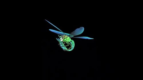 Blaue Libelle Idle 3