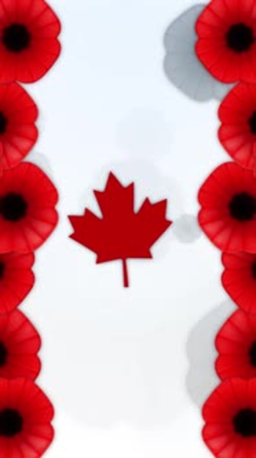 Vertical Remembrance Day