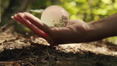 Hand Holding Glass Globe in Forest