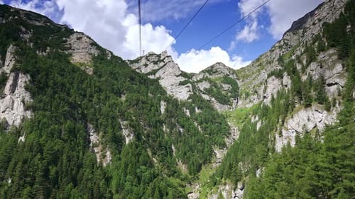 Cable car tour by the spectacular cliff rock overgrown with pine tree woods.