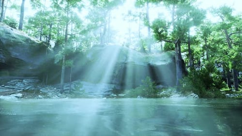 The Sun Shines Through the Trees Over a Body of Water