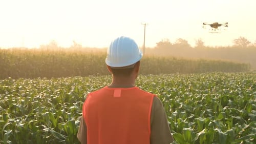 Male engineer controlling drone spraying fertilizer and pesticide over farmland