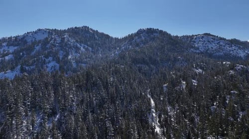 Aerial view of forest landscape after first snowfall in pine tree forest , winter is cold and snowy