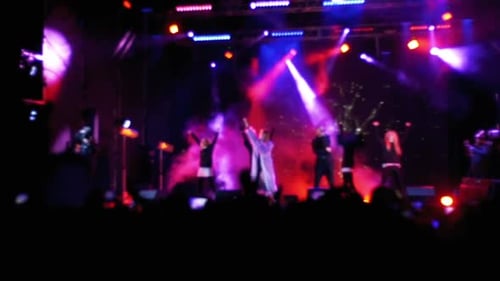 Enthusiastic Crowd Enjoying Live Music Concert at Night