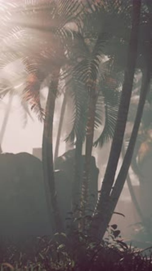 Palm Tree and Mountain Landscape