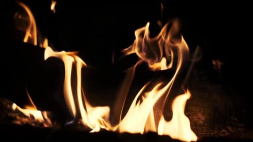 Close Up Fire Flames
