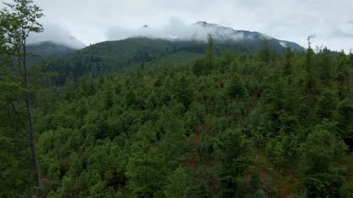 Aerial View of a Summer Rocky Mountain Landscape in Cloudy Day