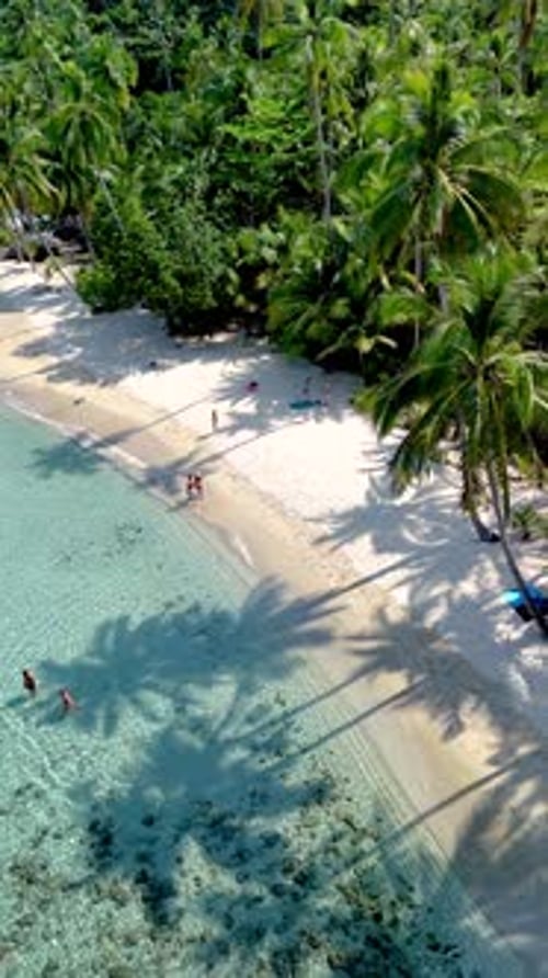 Tropical Beach Paradise with Turquoise Water and Palm Trees