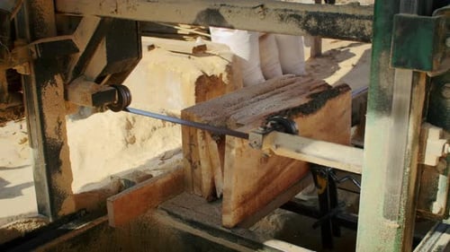Experience the Intensity of the Sawmill As Workers Cut Through the Forest Turning Raw Wood Into