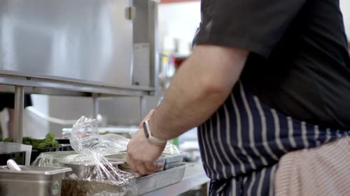 Chef Cooking Food in a Restaurant Kitchen