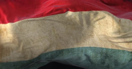 Distressed Waving Flag with Grunge Texture Animation