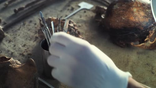 Close Up of Professional Laboratory Instruments and Skull of Prehistoric Man