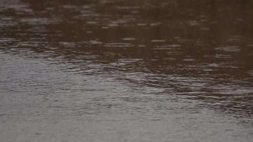 Regen fällt in eine Wasserpfütze