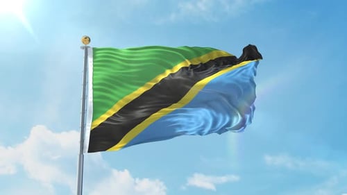 Realistic Flag Of Tanzania