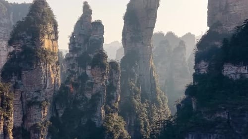 Sunrise golden light breaking through mist over tall green-covered rock pillars, Zhangjiajie