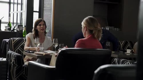 Businesswomen Meeting in Wine Bar 3034 Years