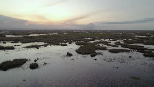 Everglades Wetland Slough Marsh Sawgrass Dusk Birds Flying Aerial 3